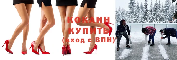 индика Вязьма