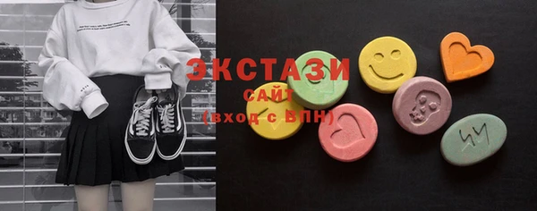 индика Вязьма