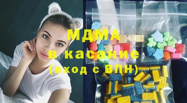 индика Вязьма